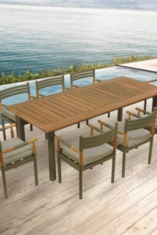 10030101-D طاولة طعام خارجية